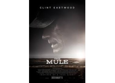 THE MULE