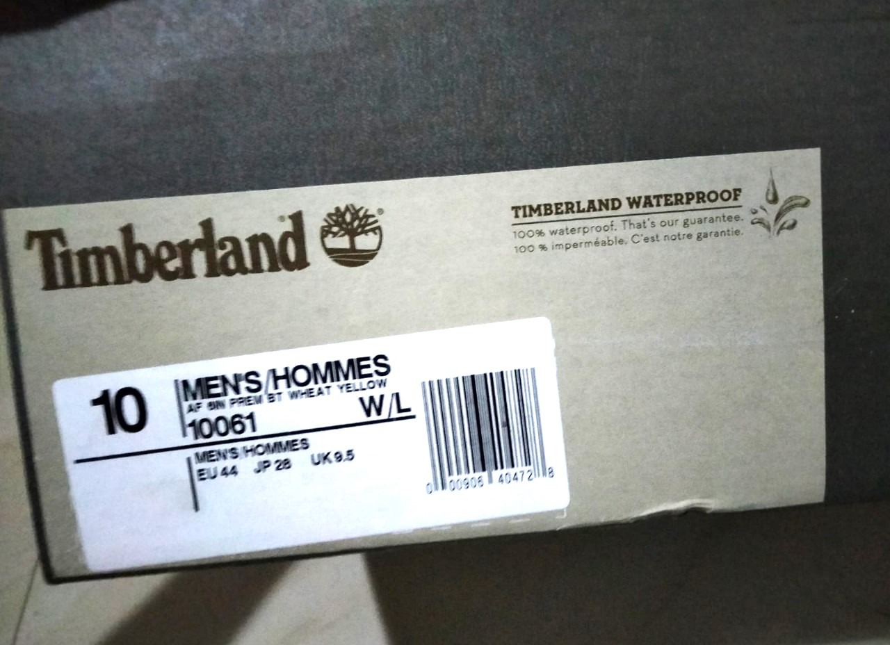 Timberland Shoe