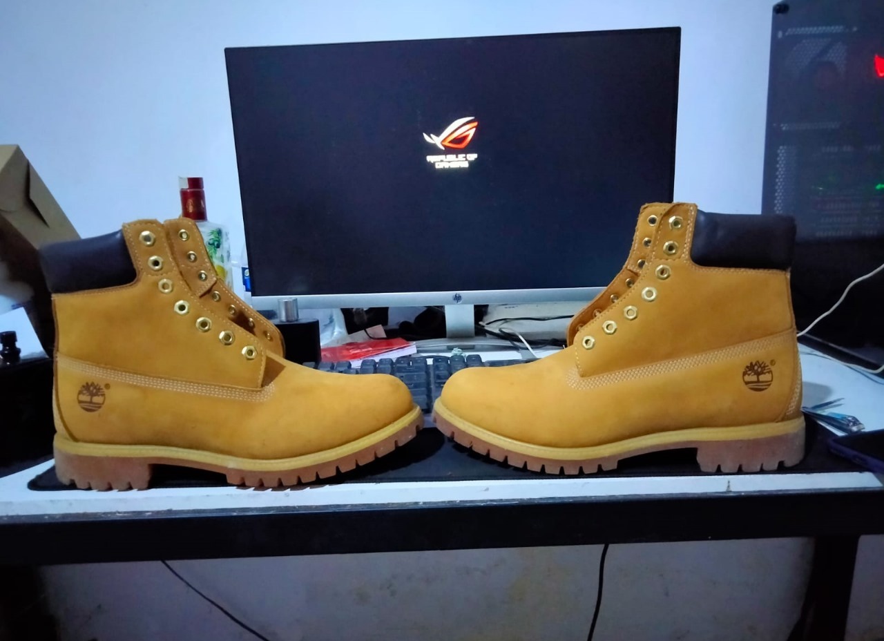 Timberland Shoe