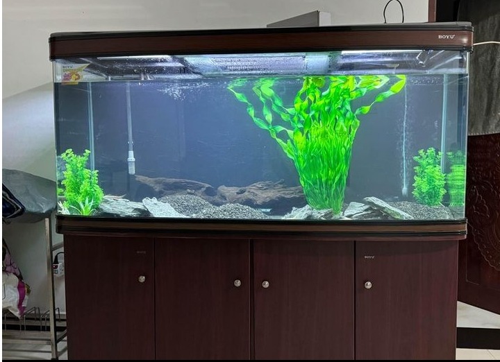 Imported fish tank