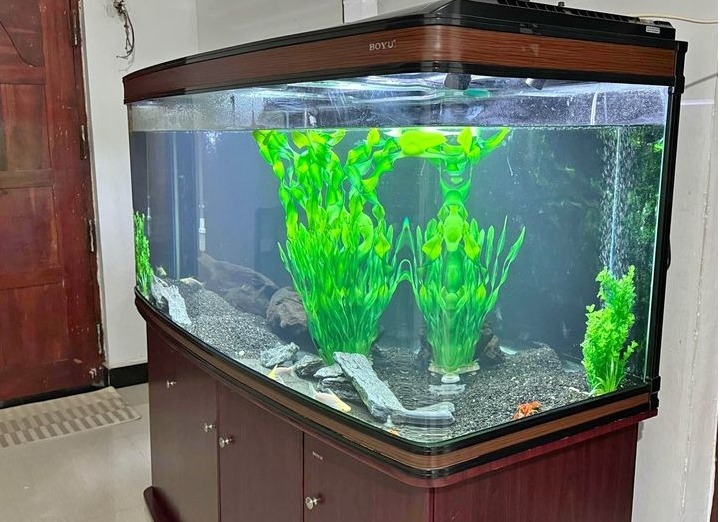 Imported fish tank