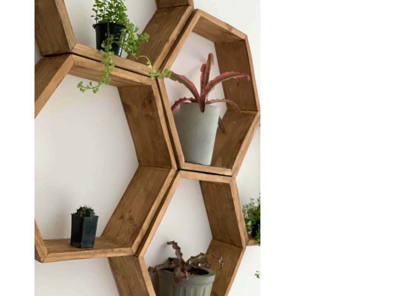 New modern design honeycomb style shelves