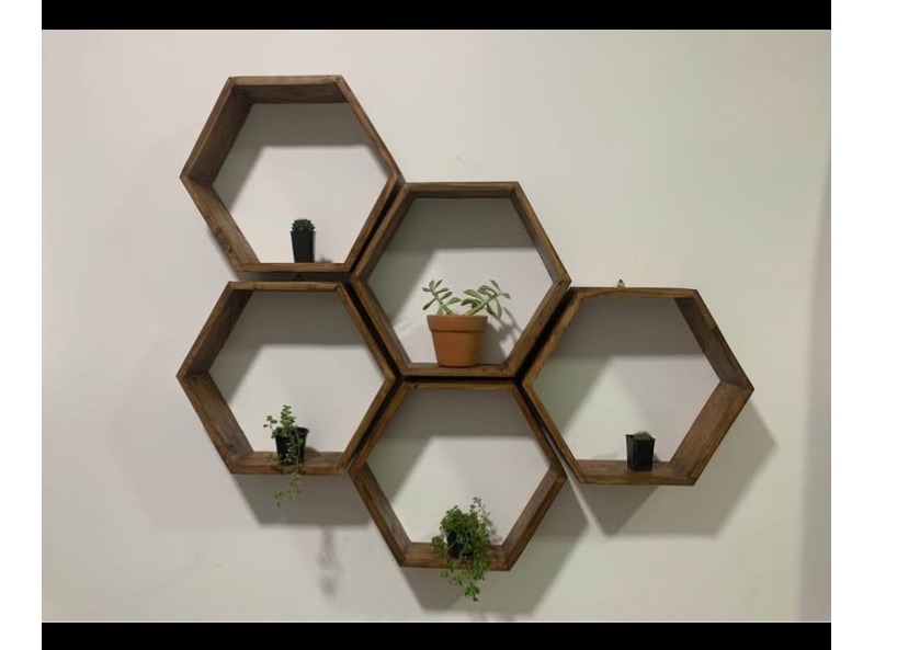 New modern design honeycomb style shelves