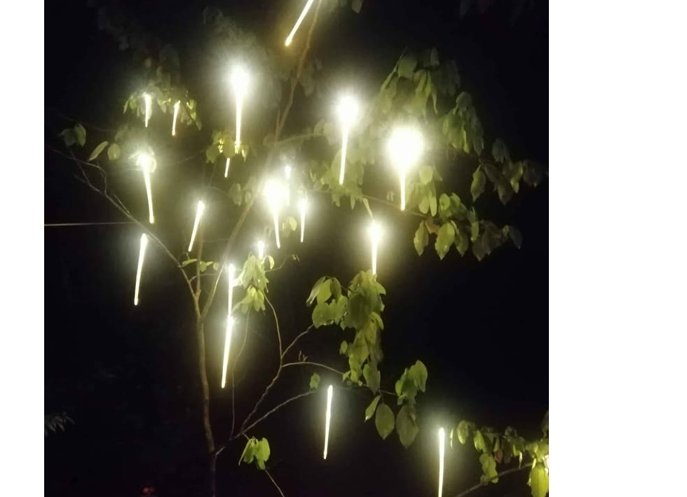 Vesak, hotel party, decaretions, LED bulb light well