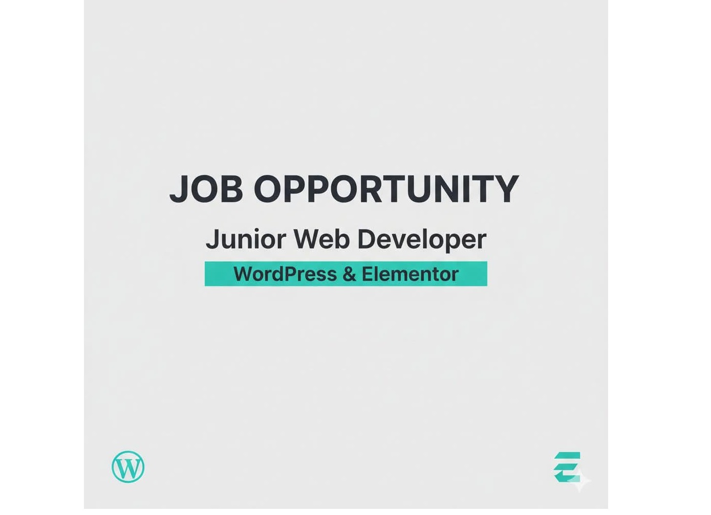Junior Web developer 🏷