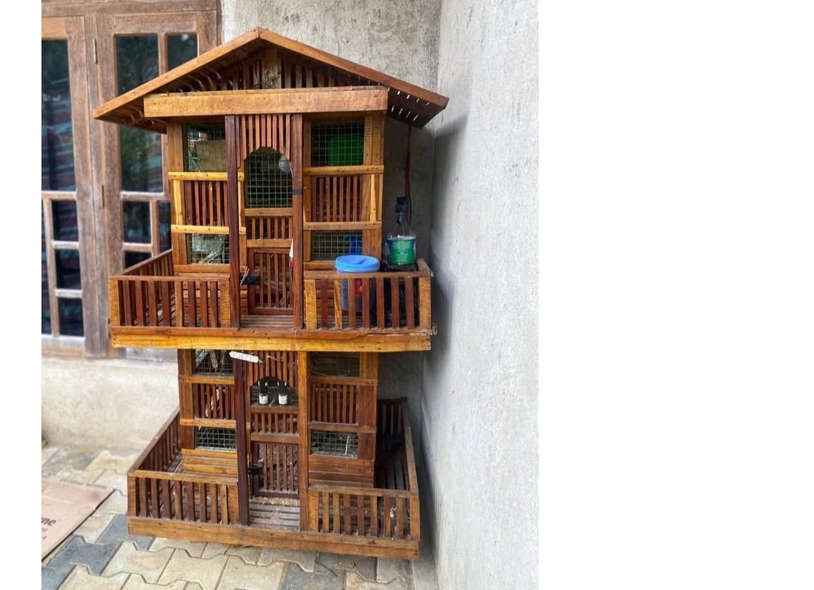 Bird cage 🐦🌿