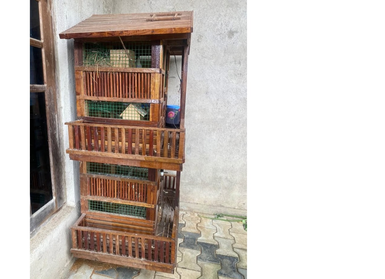 Bird cage 🐦🌿