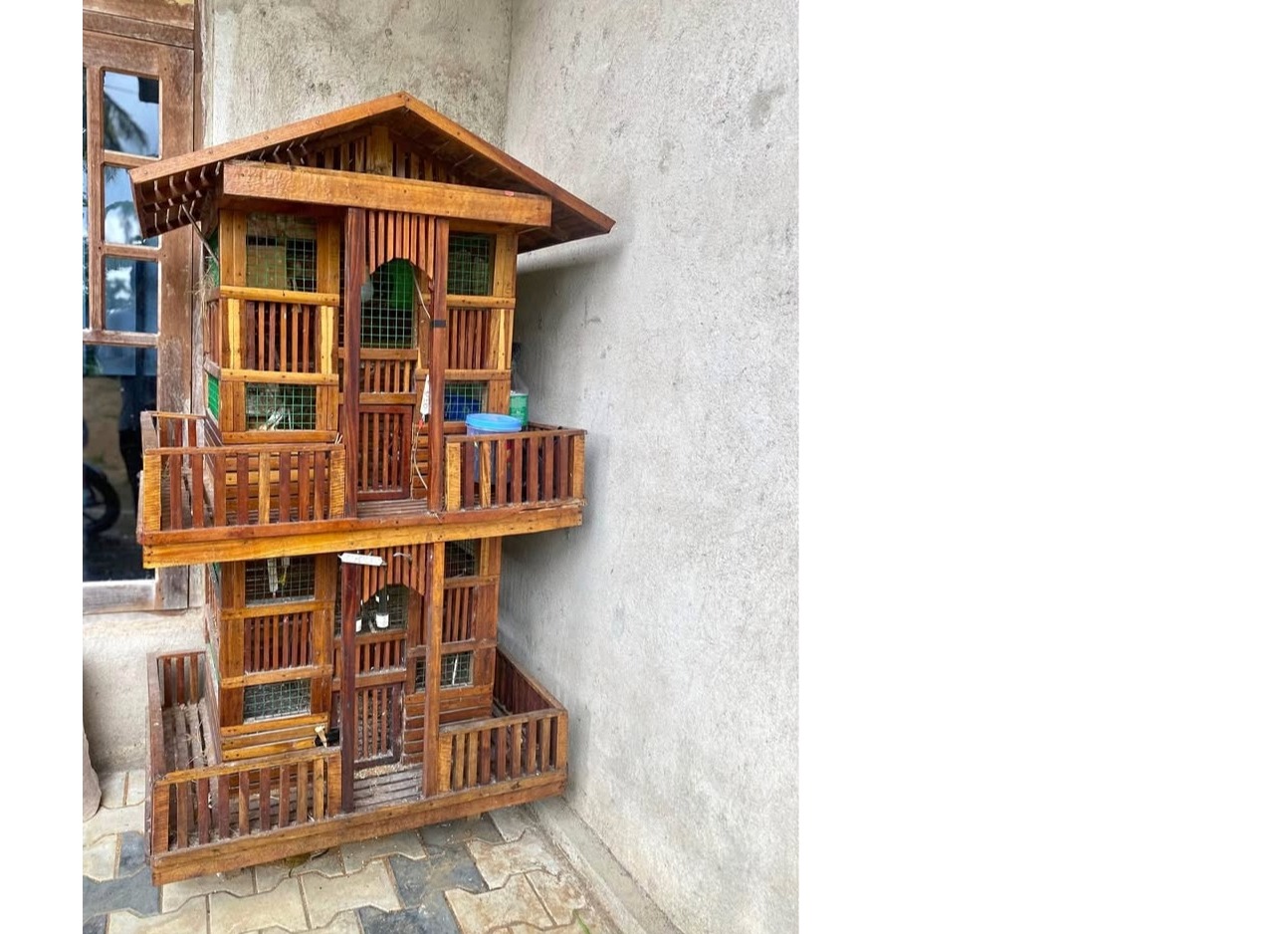 Bird cage 🐦🌿