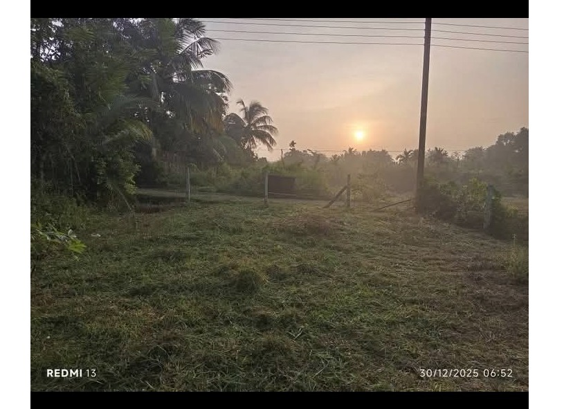 පර්චස් 15 ක අගනා ඉඩමක් විකිණීමට (ඉඩමම ලක්ෂ 27) 0779250016 මිල්ලනියවත්ත මිල්ලනිය