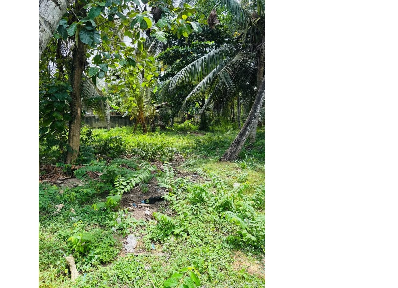 Land in Katunayaka📍