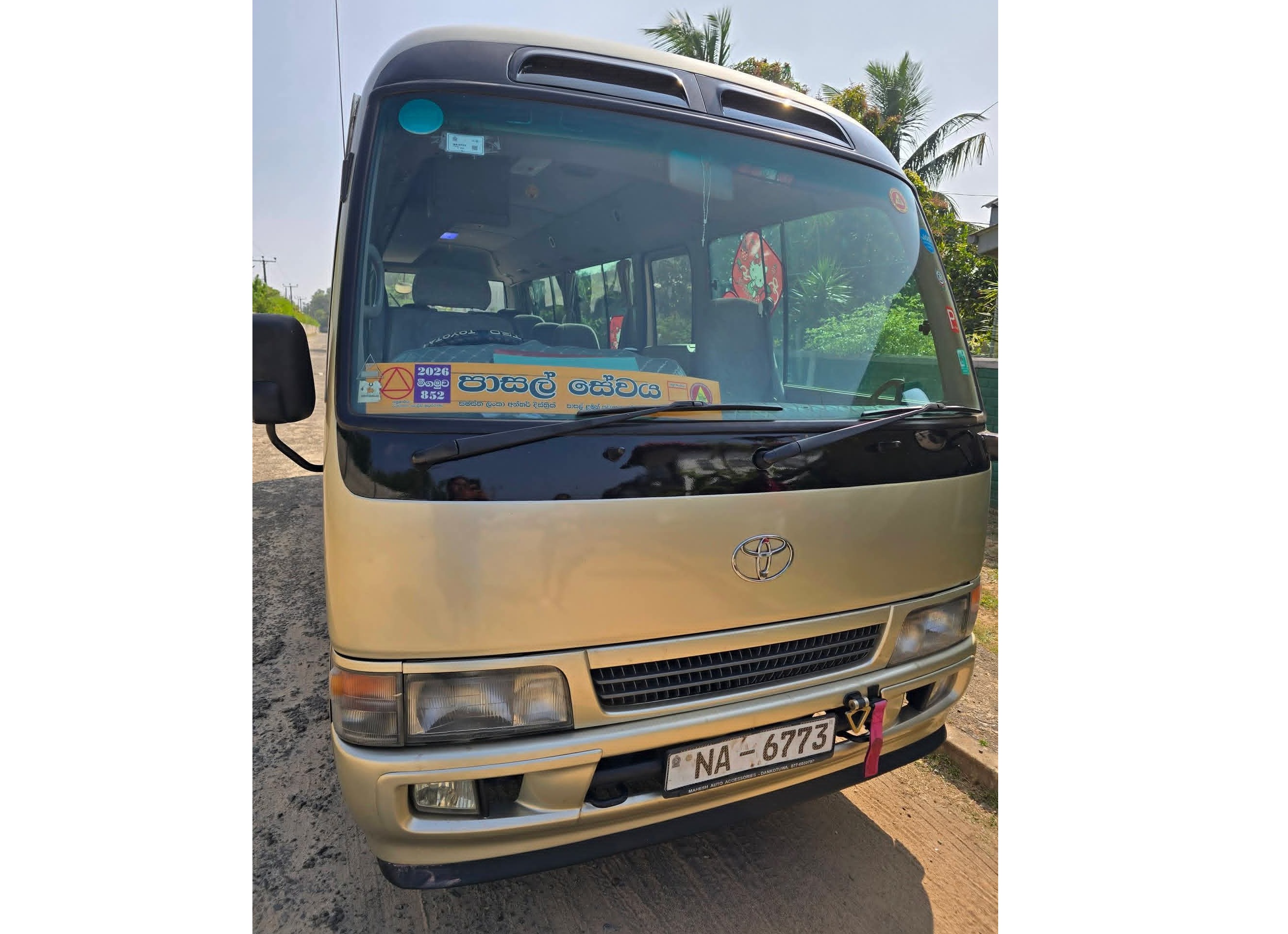 School transport services 🚸