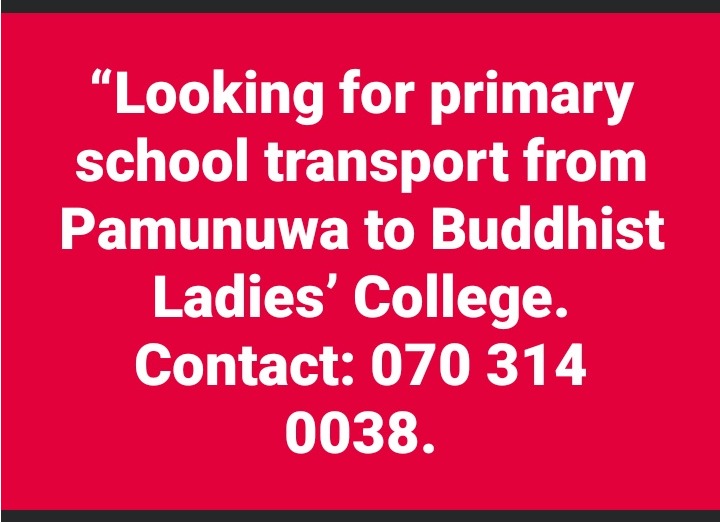 ✨️ Looking for primary school transport ✨️