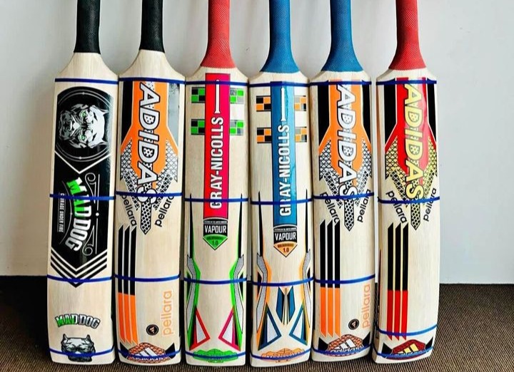 Cricket bat