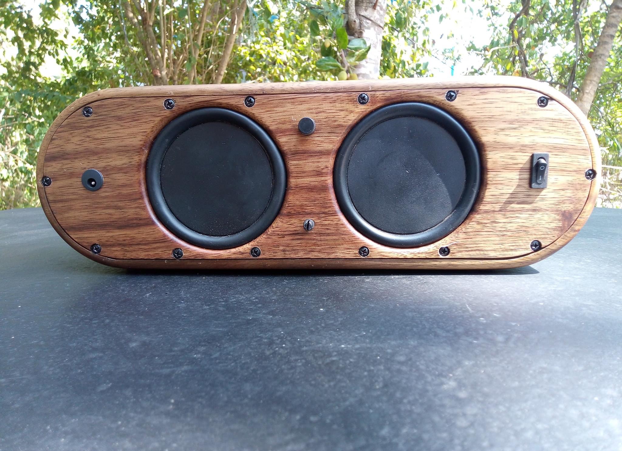 30W Subwoofer