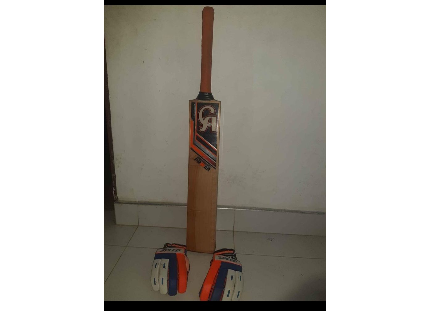 Cricket bat