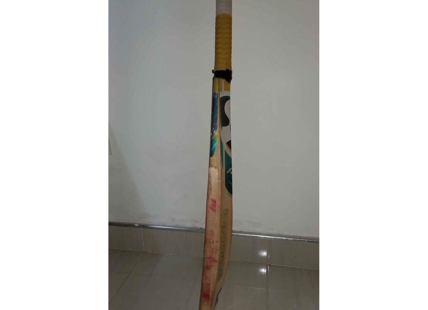 Cricket bat