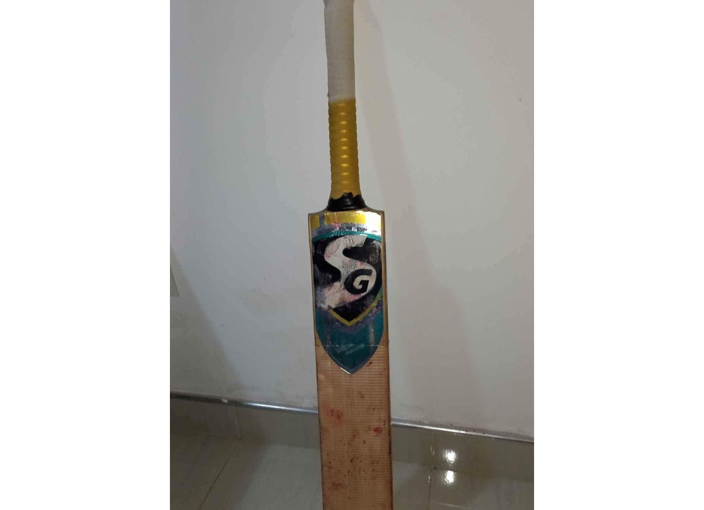 Cricket bat