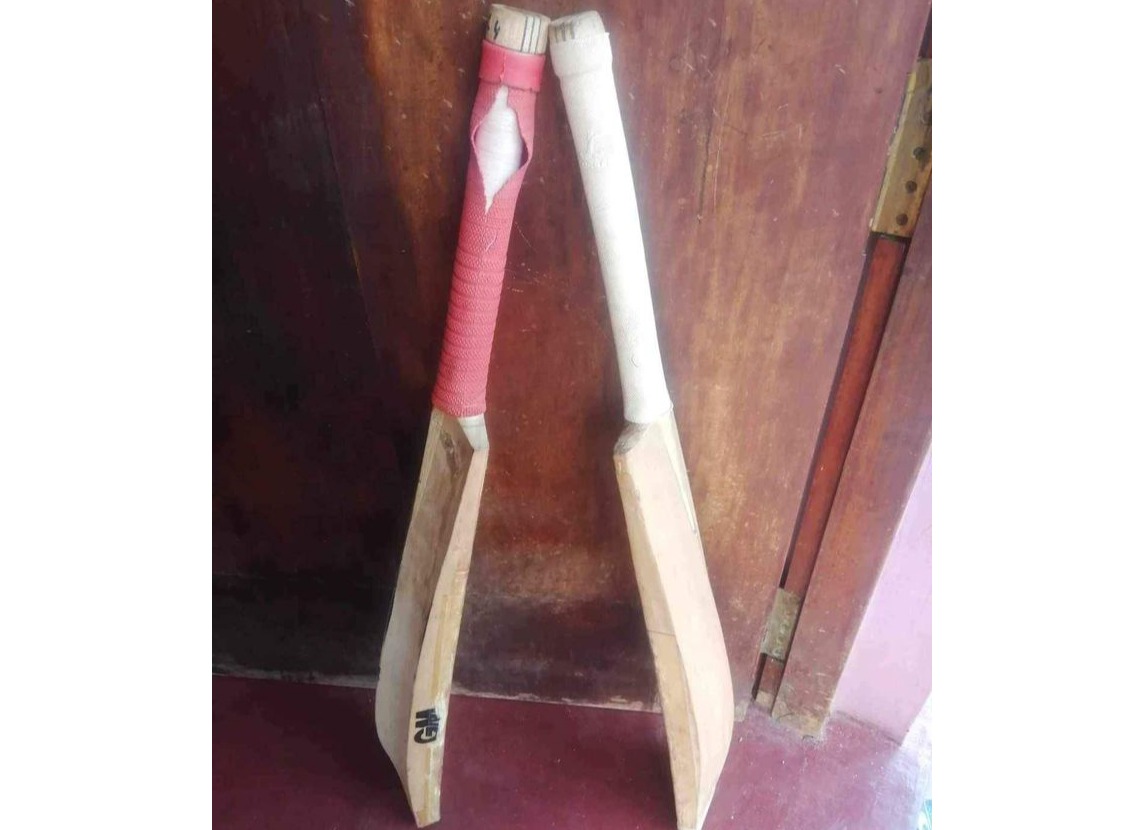 Cricket bat