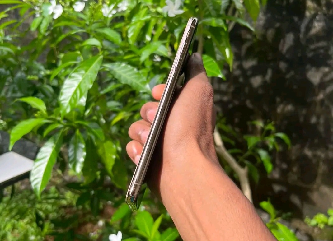 Apple Xs Max (Used)