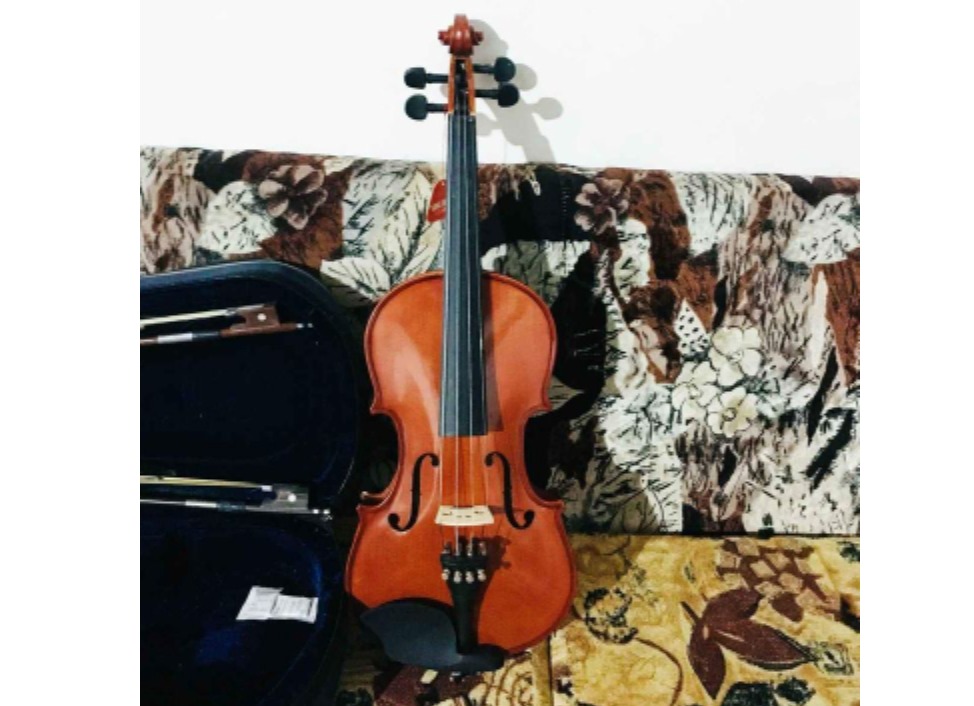 Violin