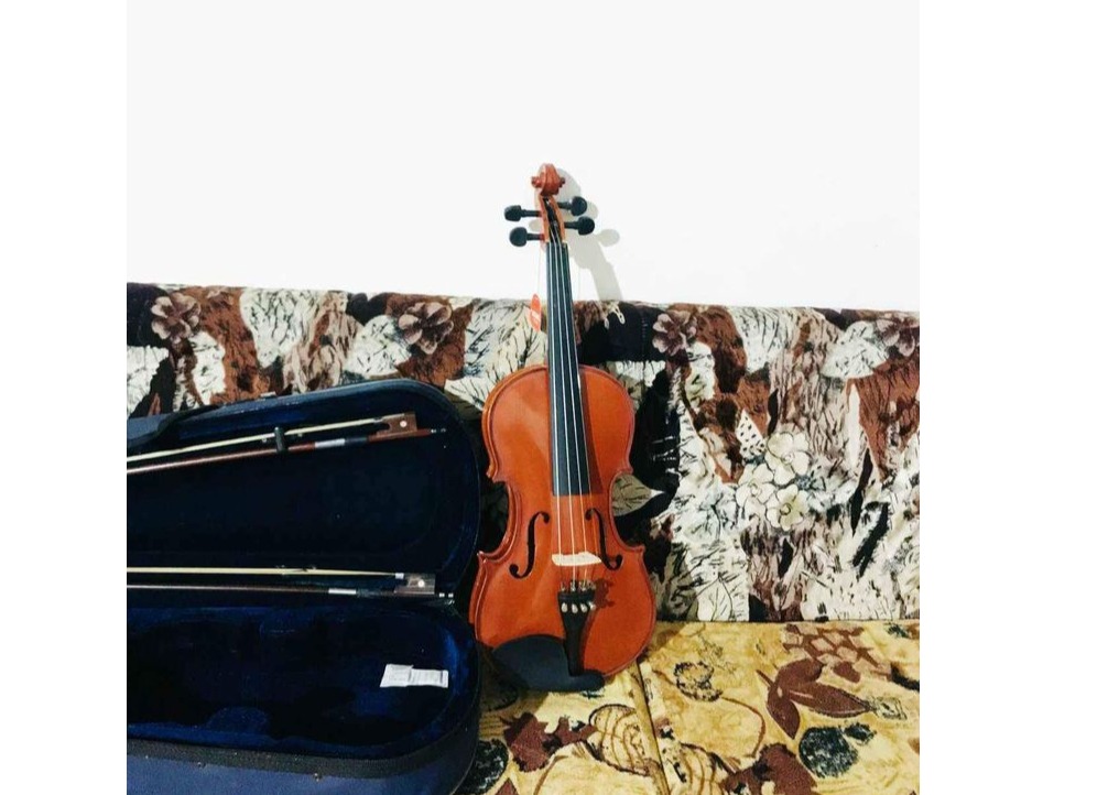 Violin