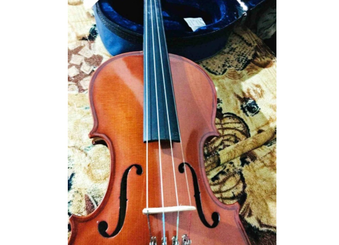 Violin