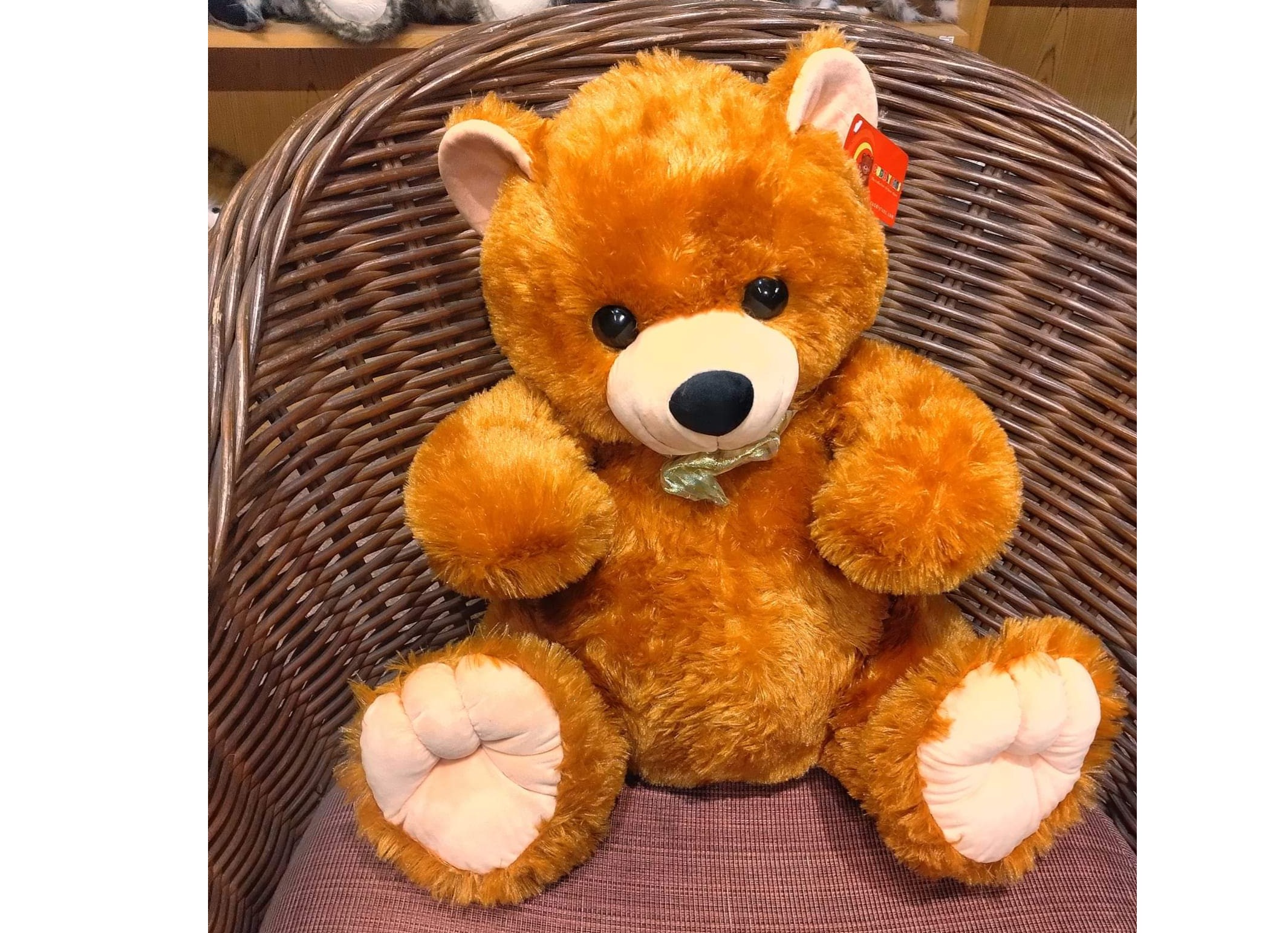 Teddy Bear 20" 🧸🧸🧸