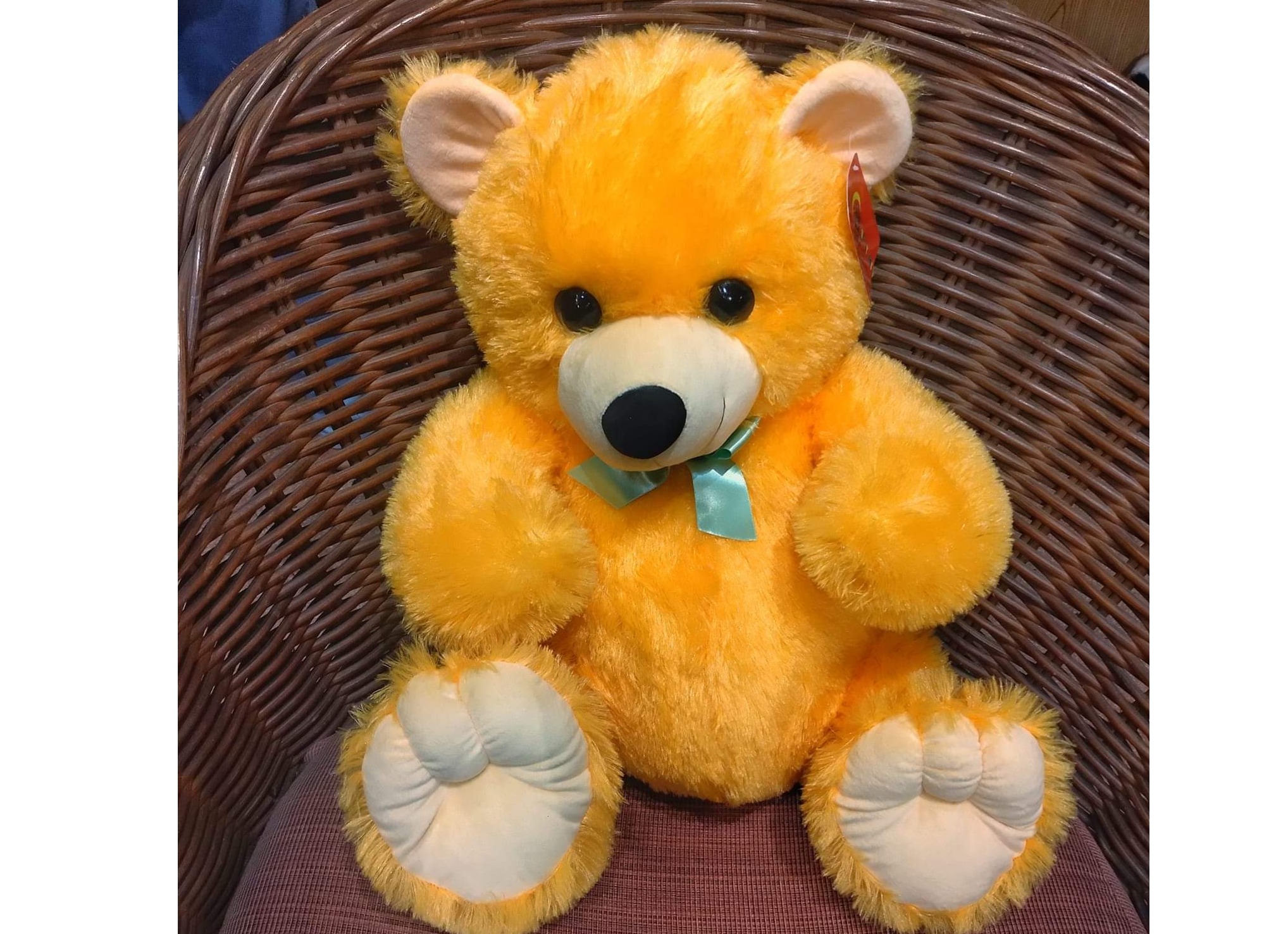 Teddy Bear 20" 🧸🧸🧸