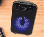 GTS-1345 Wireless Speaker