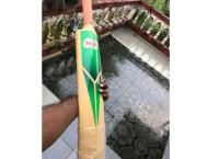 Cricket bat