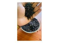 Ceylon Black Pepper: The Pinnacle of Spice