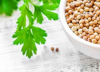 Coriander Seeds/කොත්තමල්ලි