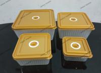 4 pcs Food Storage Boxes