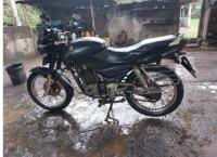 Pulsar 2003