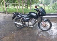 Pulsar 2003