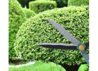 Garden Big Scissor