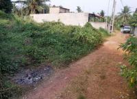 Land for Sale in Homagama