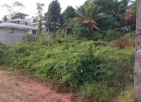 Land for Sale in Homagama