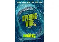 THE MEG