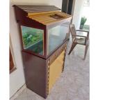 Fish tank for sale