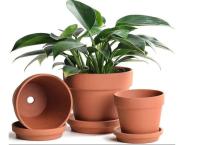 Wedding gift plant clay pots# clay pots for small plants