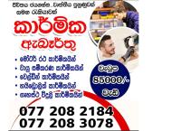 කාර්මික රැකියා