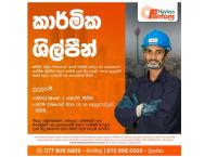 Heyleys PLC