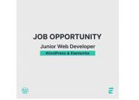 Junior Web developer 🏷
