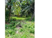 Land in Katunayaka📍