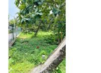 Land in Katunayaka📍