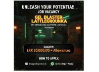 Gaming and shop assistant 📀