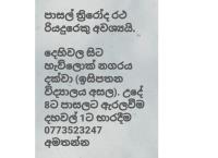 School three wheel driver wanted 🛺