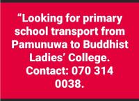 ✨️ Looking for primary school transport ✨️