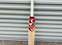 SG Cricket Bat Technique/Eye Kashmir Willow - SH